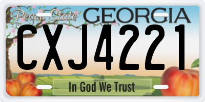 GA license plate CXJ4221