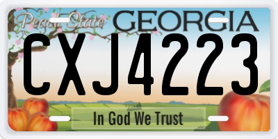 GA license plate CXJ4223
