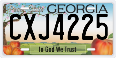GA license plate CXJ4225
