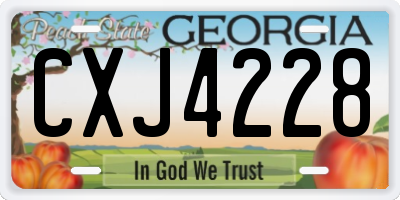 GA license plate CXJ4228