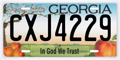 GA license plate CXJ4229