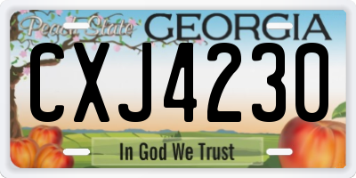 GA license plate CXJ4230