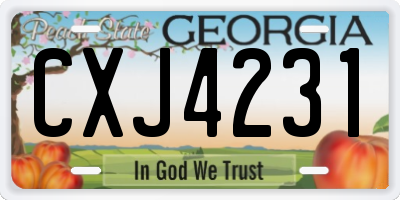 GA license plate CXJ4231