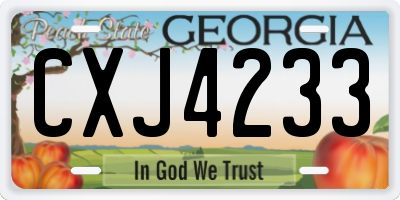 GA license plate CXJ4233