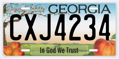 GA license plate CXJ4234