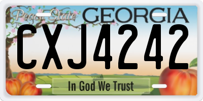 GA license plate CXJ4242