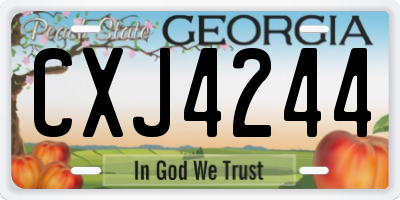 GA license plate CXJ4244