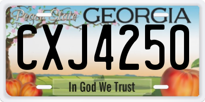 GA license plate CXJ4250