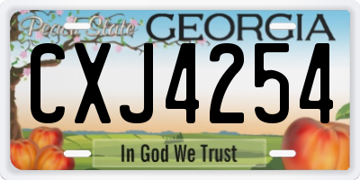 GA license plate CXJ4254