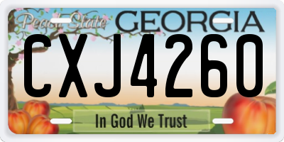 GA license plate CXJ4260