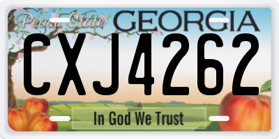 GA license plate CXJ4262
