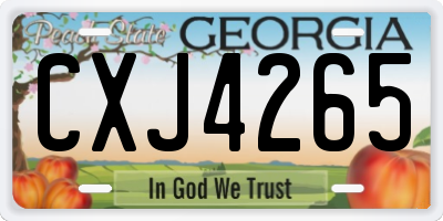 GA license plate CXJ4265
