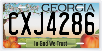 GA license plate CXJ4286