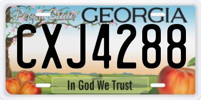 GA license plate CXJ4288