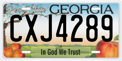 GA license plate CXJ4289