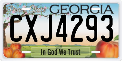 GA license plate CXJ4293