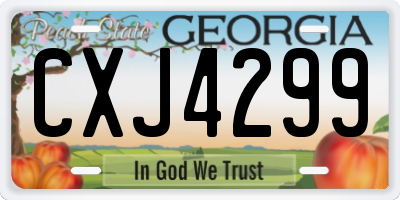 GA license plate CXJ4299