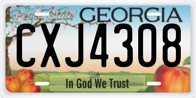 GA license plate CXJ4308