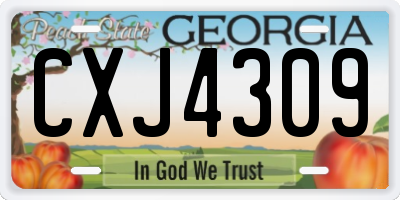 GA license plate CXJ4309