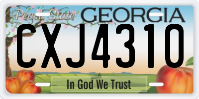 GA license plate CXJ4310