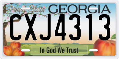 GA license plate CXJ4313