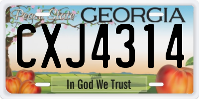 GA license plate CXJ4314