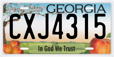 GA license plate CXJ4315