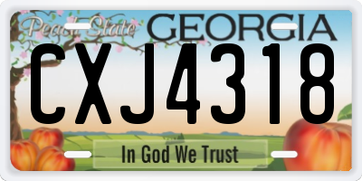 GA license plate CXJ4318