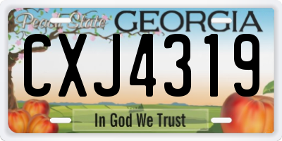 GA license plate CXJ4319