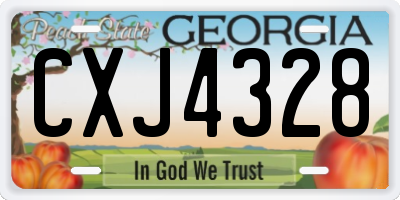 GA license plate CXJ4328
