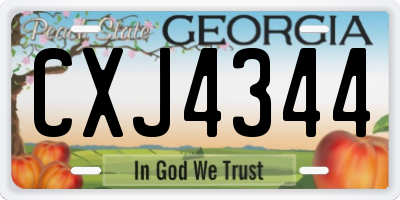 GA license plate CXJ4344