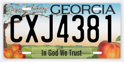 GA license plate CXJ4381