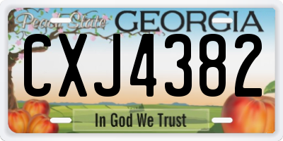 GA license plate CXJ4382