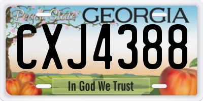 GA license plate CXJ4388