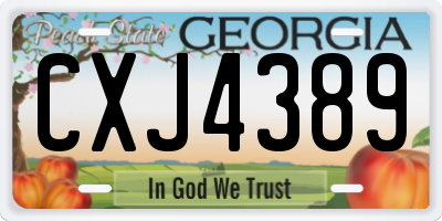 GA license plate CXJ4389