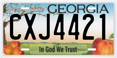 GA license plate CXJ4421