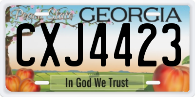 GA license plate CXJ4423