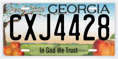 GA license plate CXJ4428