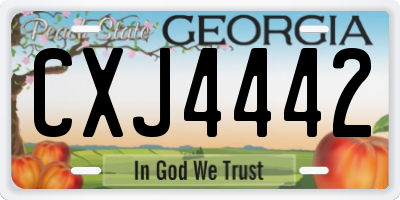 GA license plate CXJ4442
