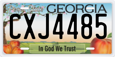 GA license plate CXJ4485
