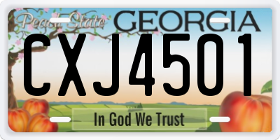 GA license plate CXJ4501