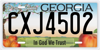 GA license plate CXJ4502