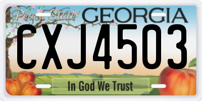 GA license plate CXJ4503