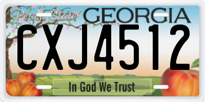 GA license plate CXJ4512
