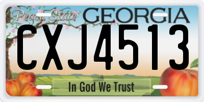 GA license plate CXJ4513