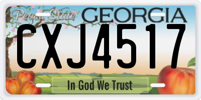 GA license plate CXJ4517