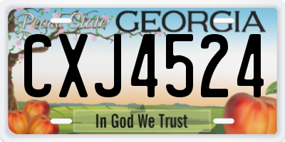 GA license plate CXJ4524