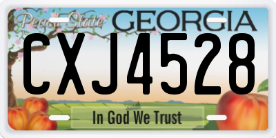 GA license plate CXJ4528