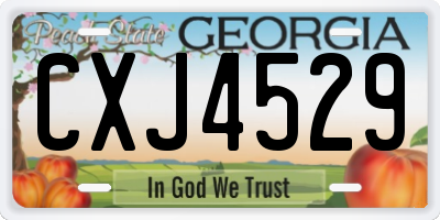 GA license plate CXJ4529