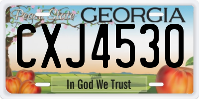 GA license plate CXJ4530
